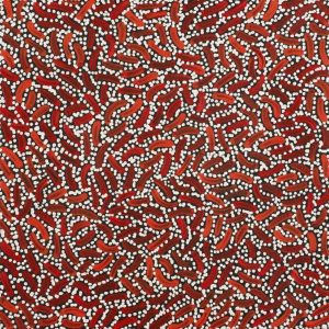 Warlukurlangu Jukurrpa (Fire country Dreaming) by Nathania Nangala Granites