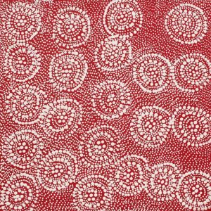 Ngapa Jukurrpa (Water Dreaming)  - Mikanji by Lola Nampijinpa Brown