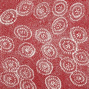 Ngapa Jukurrpa (Water Dreaming)  - Mikanji by Lola Nampijinpa Brown