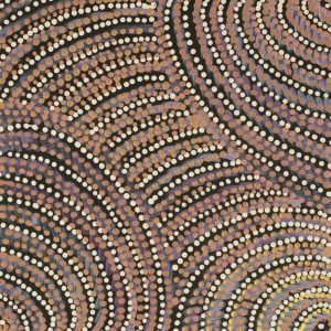 Pikilyi Jukurrpa (Vaughan Springs Dreaming) by Grace Napangardi Butcher