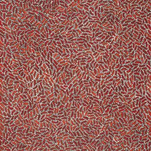 Warlukurlangu Jukurrpa (Fire country Dreaming) by Nathania Nangala Granites