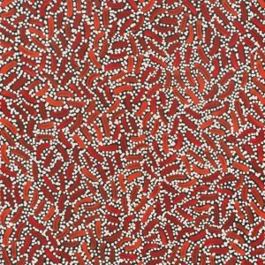 Warlukurlangu Jukurrpa (Fire country Dreaming) by Nathania Nangala Granites