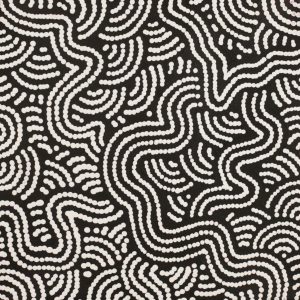 Ngapa Jukurrpa (Water Dreaming) - Mikanji by Julie Napaljarri Dempsey