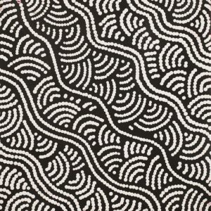 Ngapa Jukurrpa (Water Dreaming) - Mikanji by Julie Napaljarri Dempsey