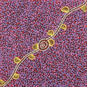 Wardapi Jukurrpa (Goanna Dreaming) - Yarripilangu by Melissa Napangardi Williams