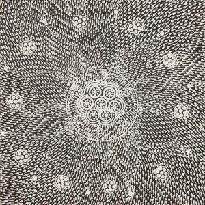 Nguru Yurntumu-wana (Country around Yuendumu) by Annisha Nakamarra Leo