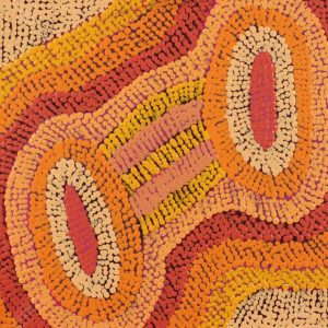 Ngapa Jukurrpa (Water Dreaming)  - Mikanji by Agnes Nampijinpa Brown