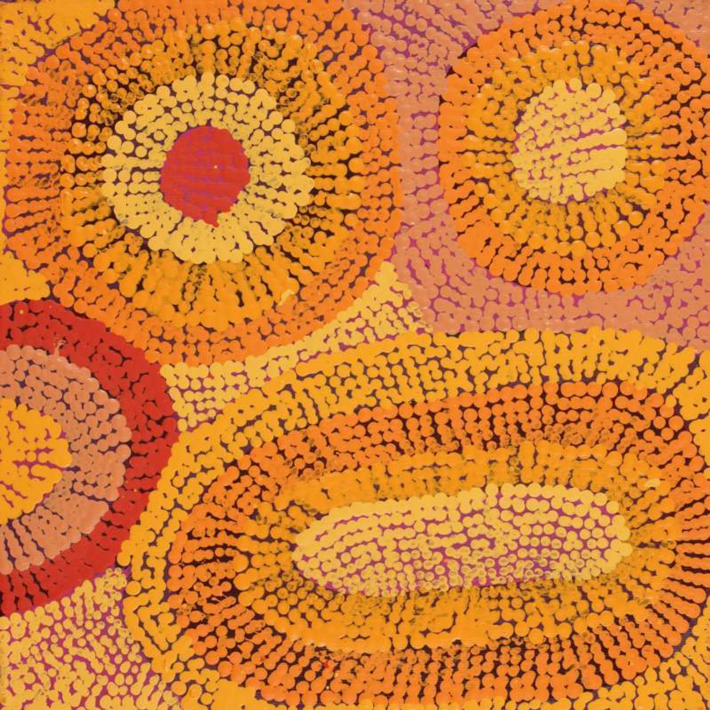Ngapa Jukurrpa (Water Dreaming) - Mikanji by Agnes Nampijinpa Brown