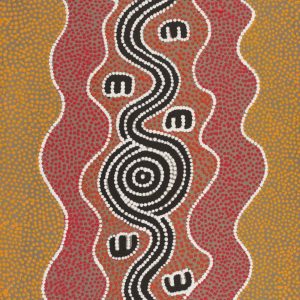 Janganpa Jukurrpa (Brush-tail Possum Dreaming)-  Mawurrji by Ritasha Nampijinpa Martin