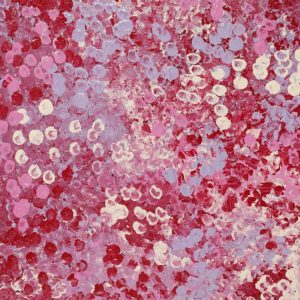 Wardapi Jukurrpa (Goanna Dreaming) - Yarripilangu by Ruth Nungarrayi Spencer