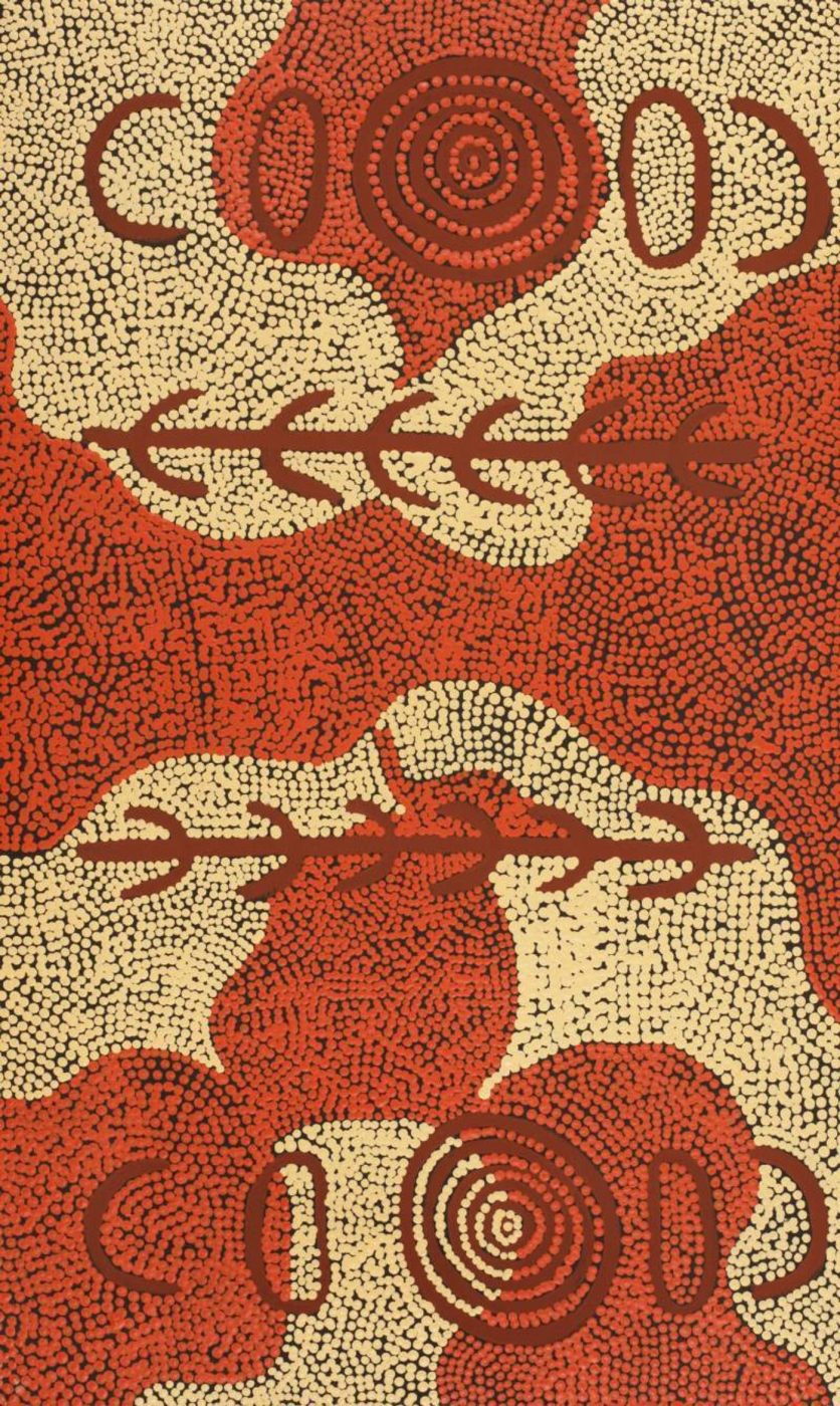 Puturlu Jukurrpa (Mt Theo Dreaming) by Ryan Japangardi Woods