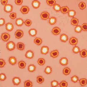 Mina Mina Jukurrpa (Mina Mina Dreaming) by Antoinette Napanangka Brown