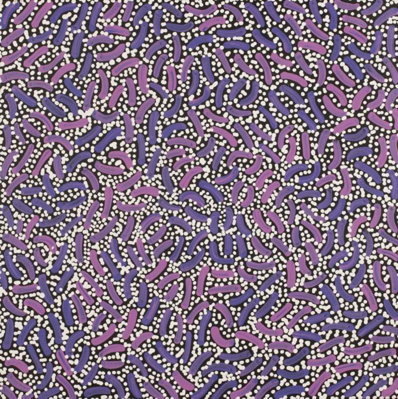 Warlukurlangu Jukurrpa (Fire country Dreaming) by Nathania Nangala Granites