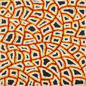 Ngapa Jukurrpa (Water Dreaming)  -  Puyurru by Delores Nangala Robertson