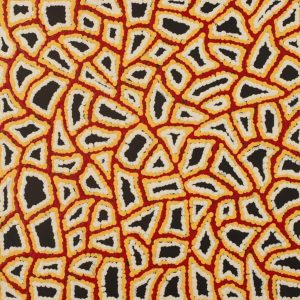 Ngapa Jukurrpa (Water Dreaming)  -  Puyurru by Delores Nangala Robertson