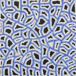 Ngapa Jukurrpa (Water Dreaming)  -  Puyurru by Delores Nangala Robertson