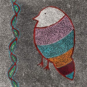 Ngalyipi Jukurrpa (Snakevine Dreaming) - Mina Mina by Geraldine Napangardi Granites by Geraldine Napangardi Granites