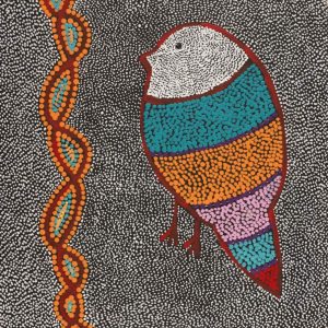 Ngalyipi Jukurrpa (Snakevine Dreaming) - Mina Mina by Geraldine Napangardi Granites by Geraldine Napangardi Granites