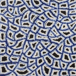 Ngapa Jukurrpa (Water Dreaming)  -  Puyurru by Delores Nangala Robertson