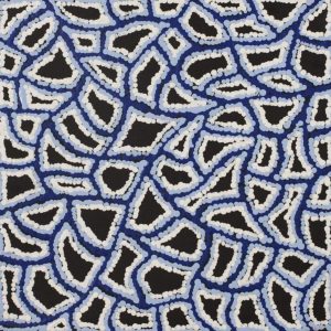 Ngapa Jukurrpa (Water Dreaming)  -  Puyurru by Delores Nangala Robertson