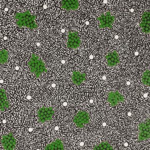 Ngapa Jukurrpa (Water Dreaming)  -  Puyurru by Shekina Nangala Sampson