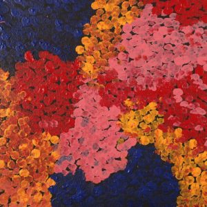 Wardapi Jukurrpa (Goanna Dreaming) - Yarripilangu by Ruth Nungarrayi Spencer