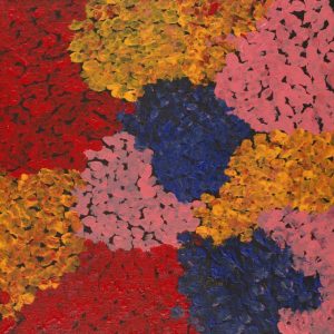 Wardapi Jukurrpa (Goanna Dreaming) - Yarripilangu by Ruth Nungarrayi Spencer