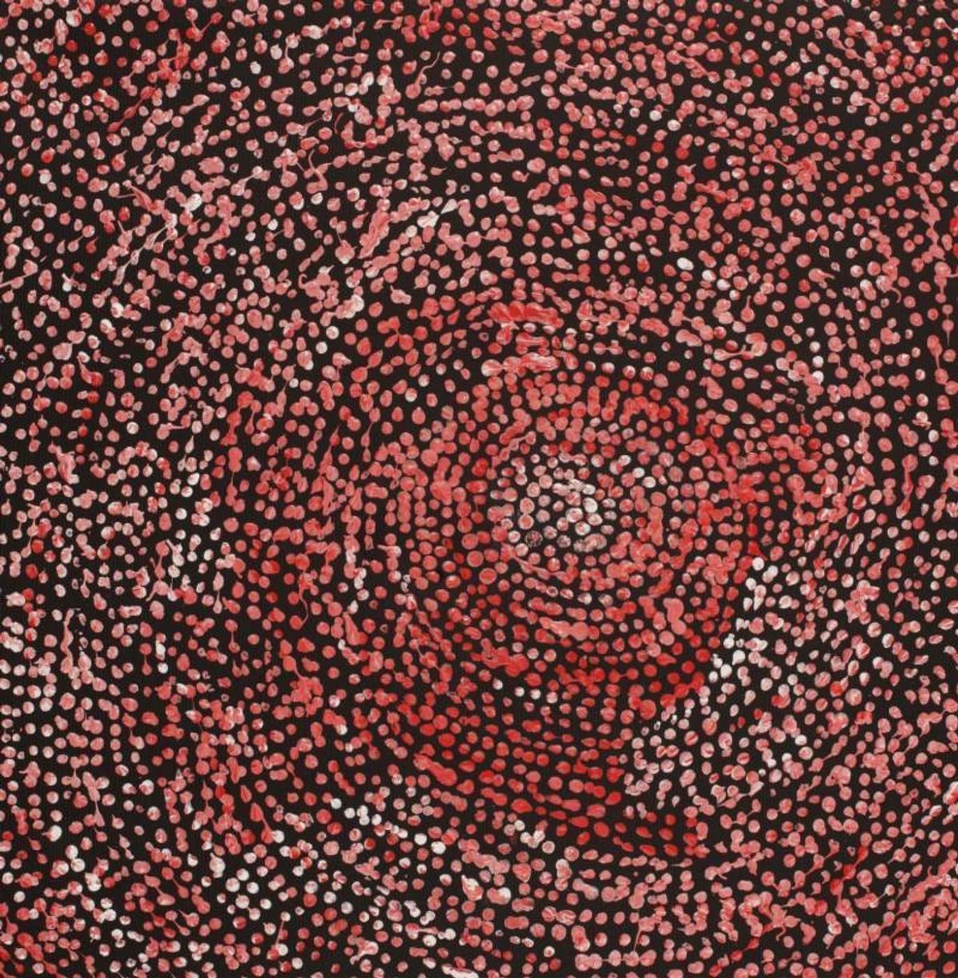 Ngapa Jukurrpa (Water Dreaming) - Puyurru by Sarah Napurrurla Leo