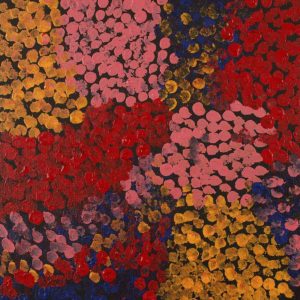 Wardapi Jukurrpa (Goanna Dreaming) - Yarripilangu by Ruth Nungarrayi Spencer