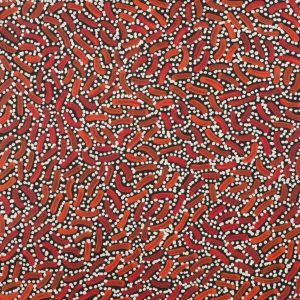 Warlukurlangu Jukurrpa (Fire country Dreaming) by Nathania Nangala Granites