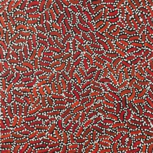 Warlukurlangu Jukurrpa (Fire country Dreaming) by Nathania Nangala Granites