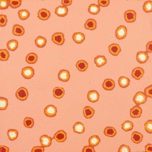 Mina Mina Jukurrpa (Mina Mina Dreaming) by Antoinette Napanangka Brown