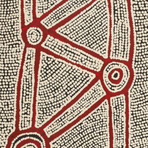 Ngapa Jukurrpa (Water Dreaming)  -  Puyurru by Shane Jampijinpa Brown