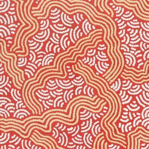 Ngapa Jukurrpa (Water Dreaming)  - Mikanji by Julie Napaljarri Dempsey