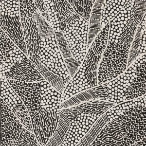 Pikilyi Jukurrpa (Vaughan Springs Dreaming) by Mary Napangardi Butcher