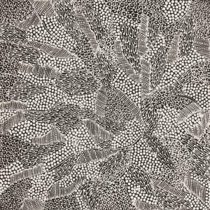 Pikilyi Jukurrpa (Vaughan Springs Dreaming) by Mary Napangardi Butcher