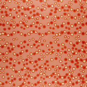 Mina Mina Jukurrpa (Mina Mina Dreaming) by Antoinette Napanangka Brown