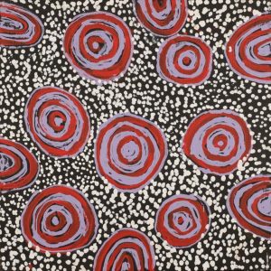 Ngapa Jukurrpa (Water Dreaming)  - Mikanji by Juliette Nampijinpa Brown