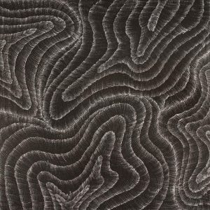 Wanakiji Jukurrpa (Bush Tomato Dreaming) by Debbie Napaljarri Brown