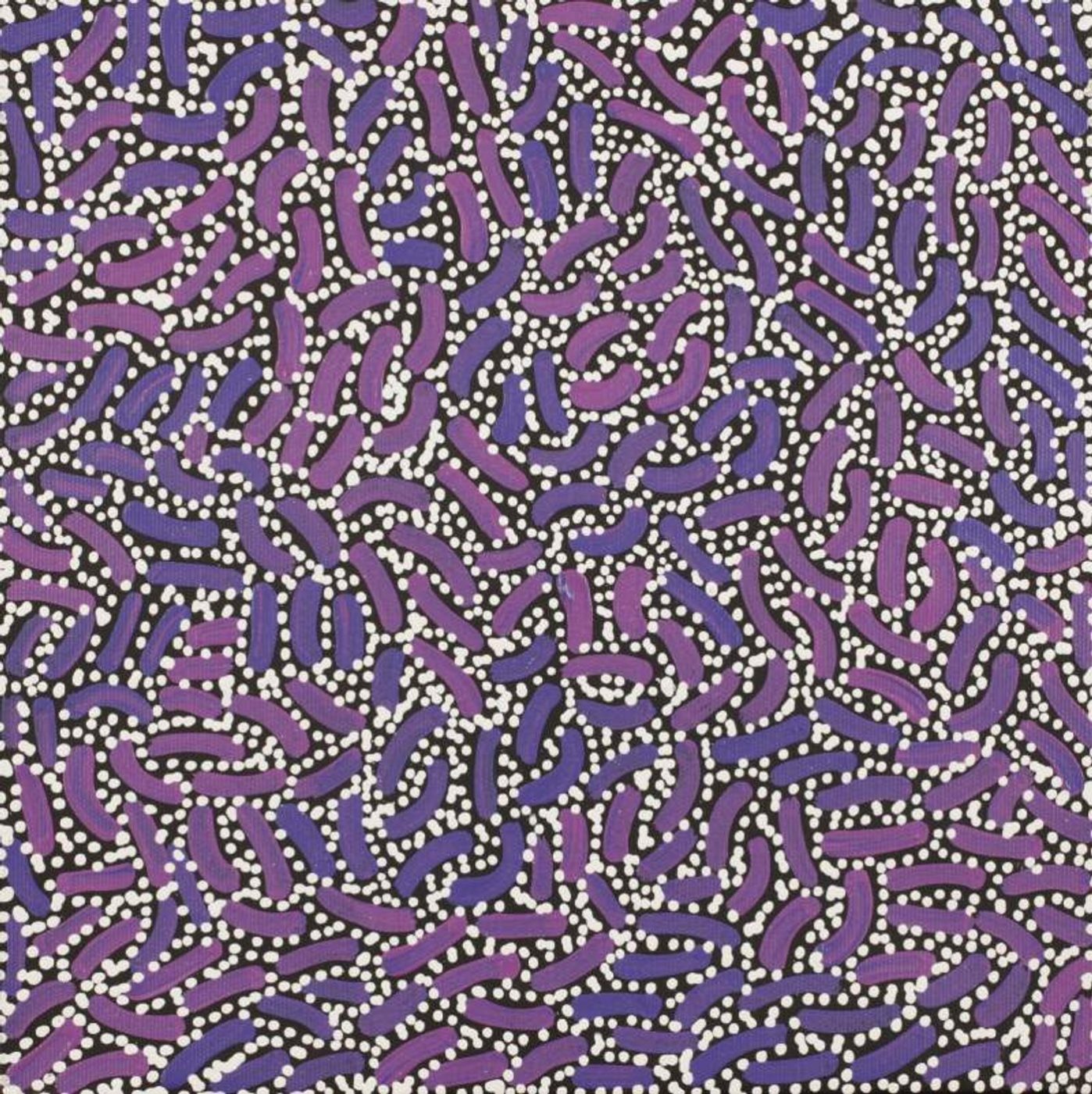 Warlukurlangu Jukurrpa (Fire country Dreaming) by Nathania Nangala Granites