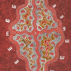 Janganpa Jukurrpa (Brush-tail Possum Dreaming)-  Mawurrji by Ritasha Nampijinpa Martin