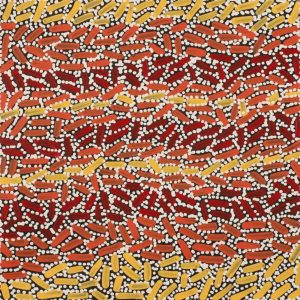 Warlukurlangu Jukurrpa (Fire country Dreaming) by Nathania Nangala Granites
