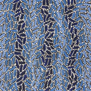 Warlukurlangu Jukurrpa (Fire country Dreaming) by Nathania Nangala Granites