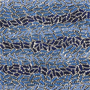 Warlukurlangu Jukurrpa (Fire country Dreaming) by Nathania Nangala Granites
