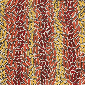 Warlukurlangu Jukurrpa (Fire country Dreaming) by Nathania Nangala Granites