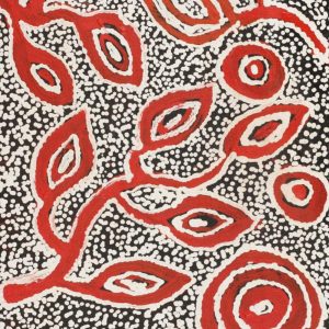 Ngapa Jukurrpa (Water Dreaming)  - Mikanji by Juliette Nampijinpa Brown