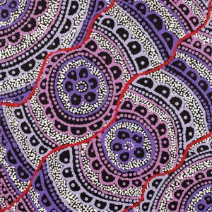 Ngalyipi Jukurrpa (Snakevine Dreaming) - Mina Mina by Kirsty Anne Napanangka Martin