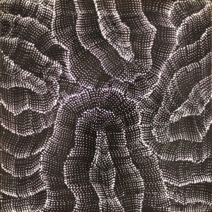 Wanakiji Jukurrpa (Bush Tomato Dreaming) by Debbie Napaljarri Brown