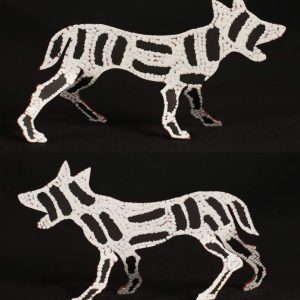 Tinkerbell by Warlukurlangu Artists