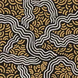 Ngapa Jukurrpa (Water Dreaming)  - Mikanji by Julie Napaljarri Dempsey